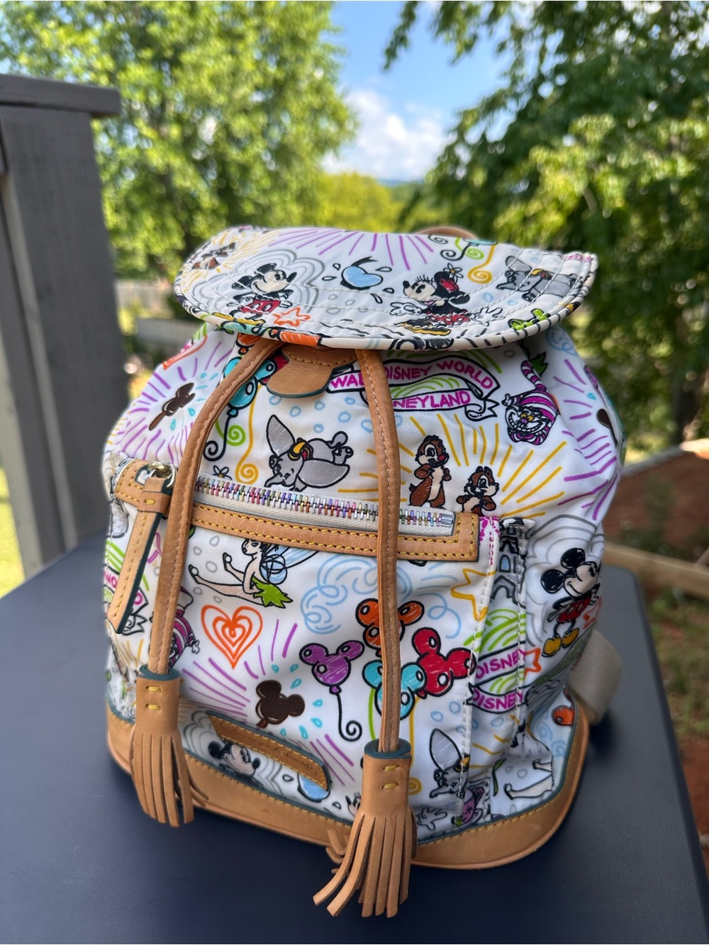 Dooney and Bourke Disney Park Exclusive Sketch Drawstring Backpack
